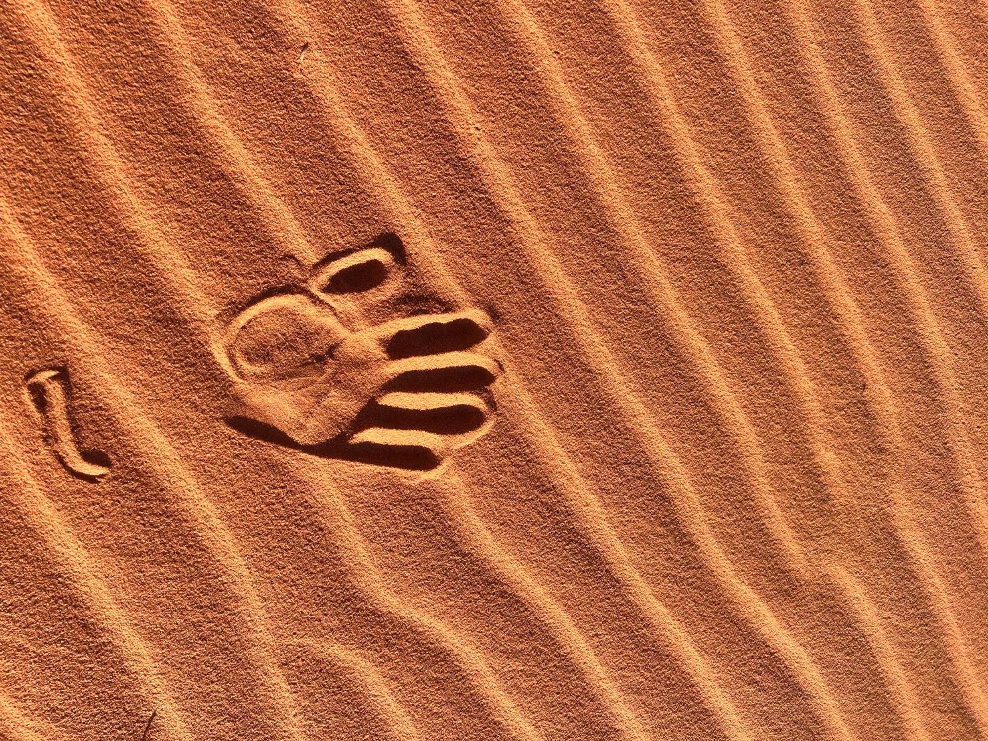 Wadi Rum Trip Exterior photo